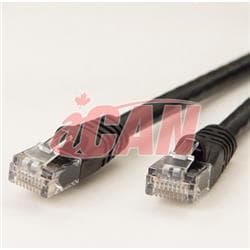Câble de saut iCAN CAT6 RJ45, sans protection - 75 ft