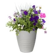 Spring Planter - 12-in Pot - Assorted Colour