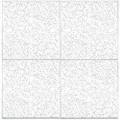 "FC-224" Ceiling Tiles