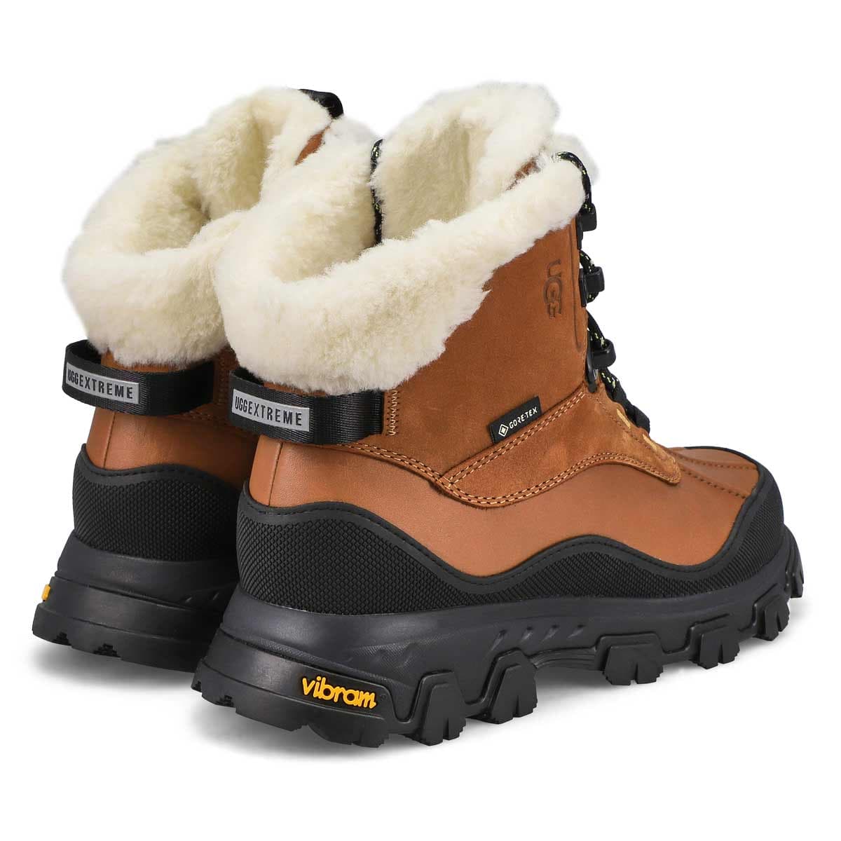 Adirondack Meridian Hiker