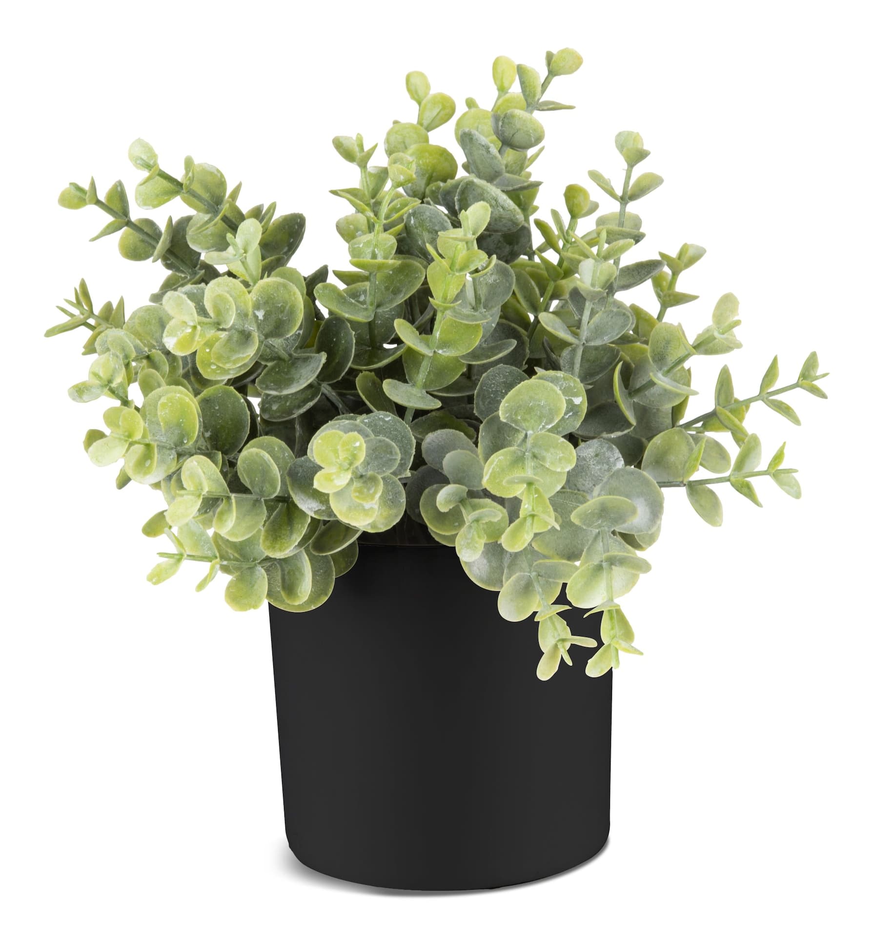 Naturae Décor Artificial Indoor Eucalyptus Plant in Black Pot, 10-in