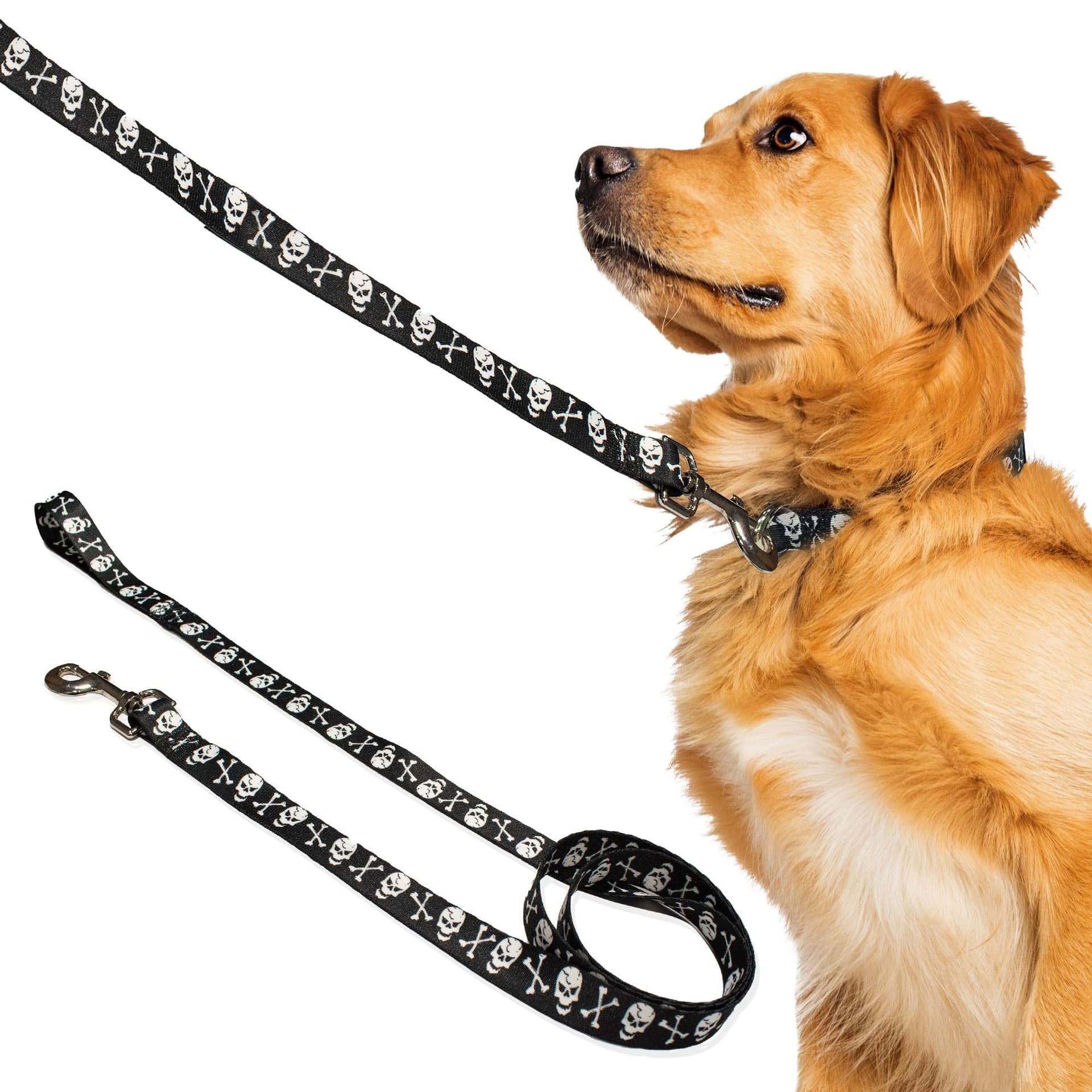 Perri's White Skulls Dog Leash, One Size
